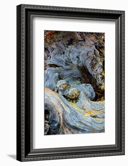 Abstract pattern in driftwood, Bandon Beach, Oregon-Adam Jones-Framed Photographic Print