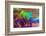 Abstract pattern in oil spilled in small stream, Costa Rica-Adam Jones-Framed Photographic Print