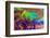 Abstract pattern in oil spilled in small stream, Costa Rica-Adam Jones-Framed Photographic Print