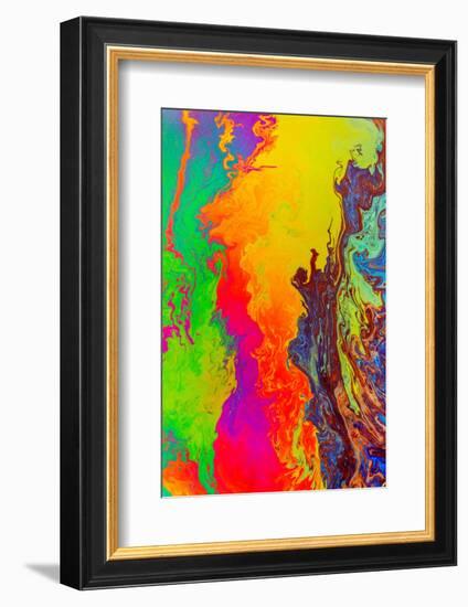 Abstract pattern in oil spilled in small stream, Costa Rica-Adam Jones-Framed Photographic Print