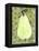 Abstract Pear With Swirls-Blenda Tyvoll-Framed Stretched Canvas