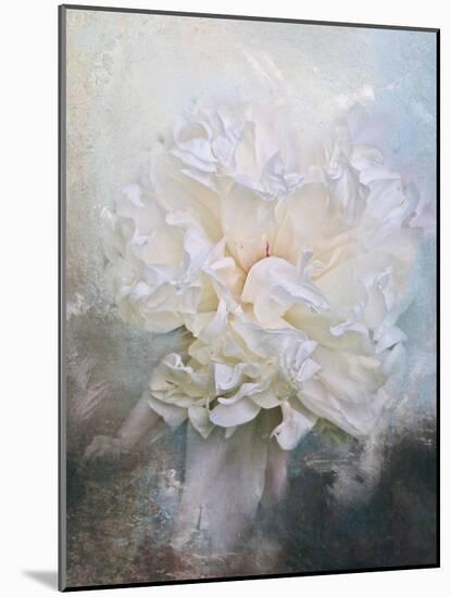 Abstract Peony in Blue-Jai Johnson-Mounted Giclee Print