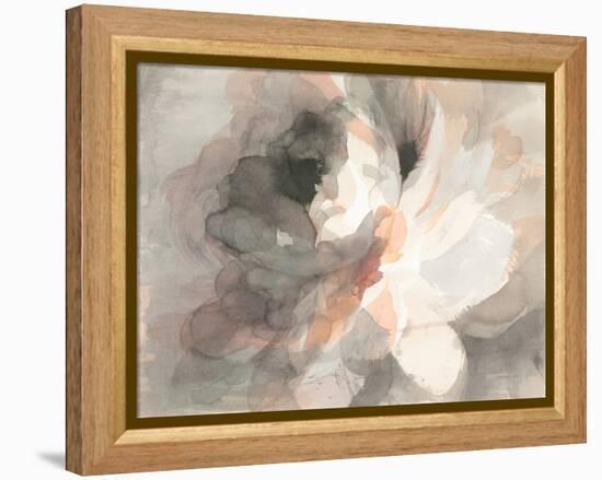 Abstract Peony-Danhui Nai-Framed Stretched Canvas