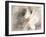 Abstract Peony-Danhui Nai-Framed Art Print