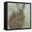 Abstract Rabbit 1-Mary Miller Veazie-Framed Premier Image Canvas