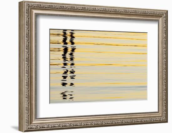 Abstract Reflections in San Diego Harbort, San Diego, California, USA-Jaynes Gallery-Framed Photographic Print