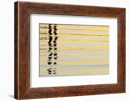 Abstract Reflections in San Diego Harbort, San Diego, California, USA-Jaynes Gallery-Framed Photographic Print