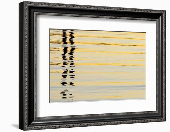 Abstract Reflections in San Diego Harbort, San Diego, California, USA-Jaynes Gallery-Framed Photographic Print