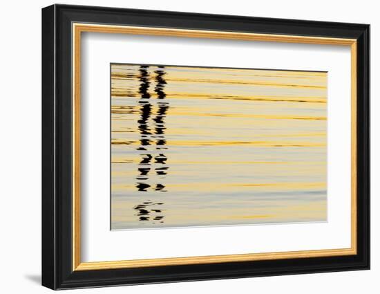 Abstract Reflections in San Diego Harbort, San Diego, California, USA-Jaynes Gallery-Framed Photographic Print