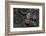 Abstract Rusty Gears Old Machine Parts-Andrey_Kuzmin-Framed Photographic Print