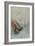 Abstract Scene-Odilon Redon-Framed Giclee Print