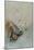 Abstract Scene-Odilon Redon-Mounted Giclee Print