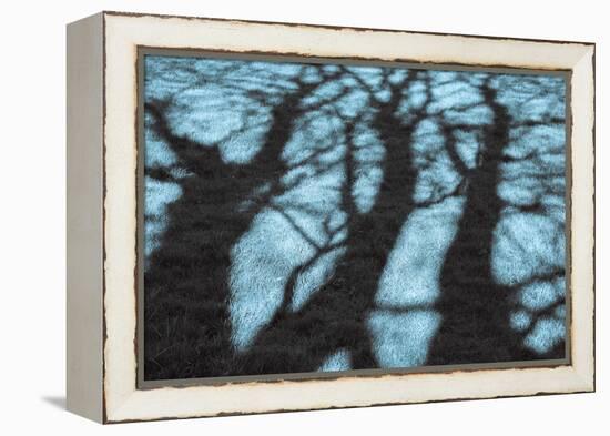 Abstract Shadows in Blue-Adrian Campfield-Framed Premier Image Canvas