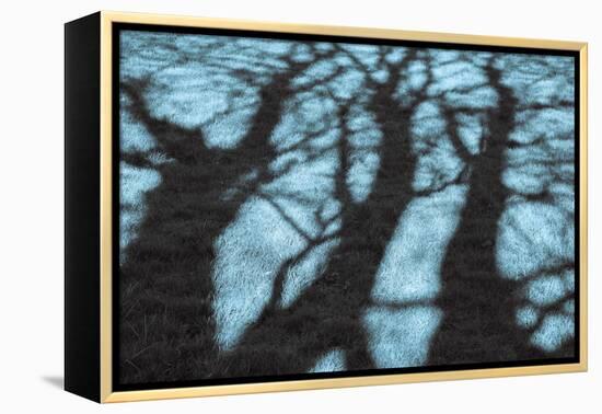 Abstract Shadows in Blue-Adrian Campfield-Framed Premier Image Canvas