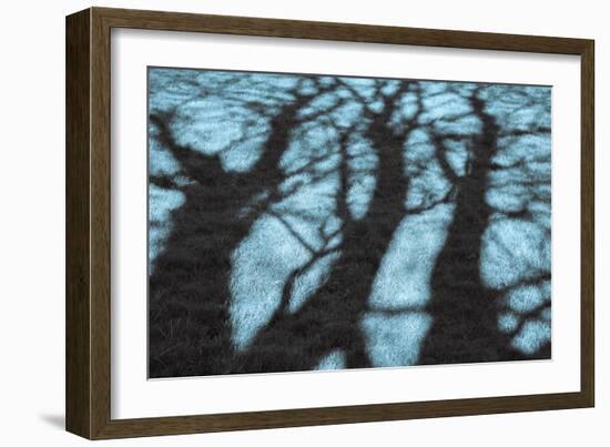 Abstract Shadows in Blue-Adrian Campfield-Framed Photographic Print