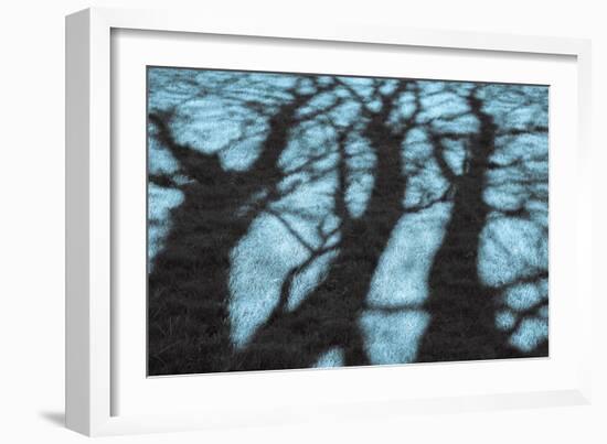 Abstract Shadows in Blue-Adrian Campfield-Framed Photographic Print