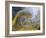 Abstract Simulation of Hummingbirds, Woodland Park, Colorado, USA-Don Grall-Framed Photographic Print