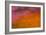 Abstract Skies II-Karyn Millet-Framed Photographic Print