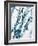 Abstract Splash-Albena Hristova-Framed Art Print