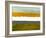 Abstract Stripe Theme Yellow and White-NaxArt-Framed Art Print