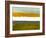 Abstract Stripe Theme Yellow and White-NaxArt-Framed Art Print