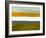 Abstract Stripe Theme Yellow and White-NaxArt-Framed Art Print