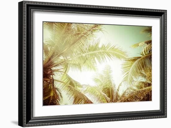 Abstract Summer Background with Tropical Palm Tree Leaves-Perfect Lazybones-Framed Photographic Print