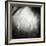 Abstract Sunlight on Film-donatas1205-Framed Art Print