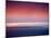 Abstract Sunset-Savanah Plank-Mounted Photo