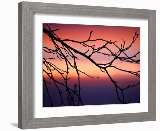 Abstract Sunset-Savanah Plank-Framed Photo