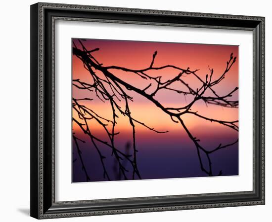 Abstract Sunset-Savanah Plank-Framed Photo