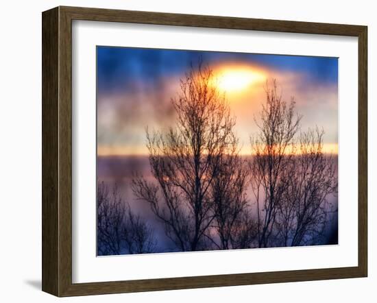 Abstract Sunset-Savanah Plank-Framed Photo