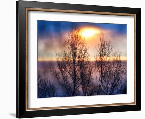 Abstract Sunset-Savanah Plank-Framed Photo