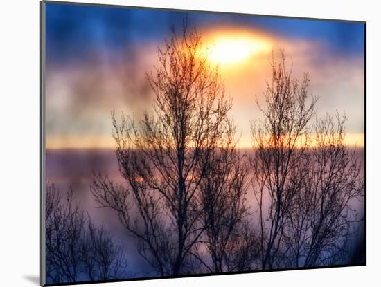 Abstract Sunset-Savanah Plank-Mounted Photo