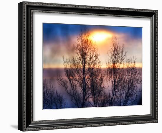 Abstract Sunset-Savanah Plank-Framed Photo