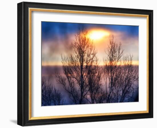 Abstract Sunset-Savanah Plank-Framed Photo