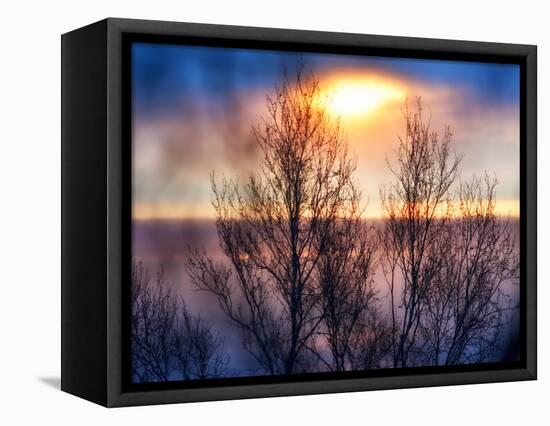 Abstract Sunset-Savanah Plank-Framed Stretched Canvas