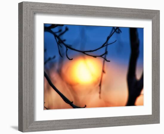 Abstract Sunset-Savanah Plank-Framed Photo