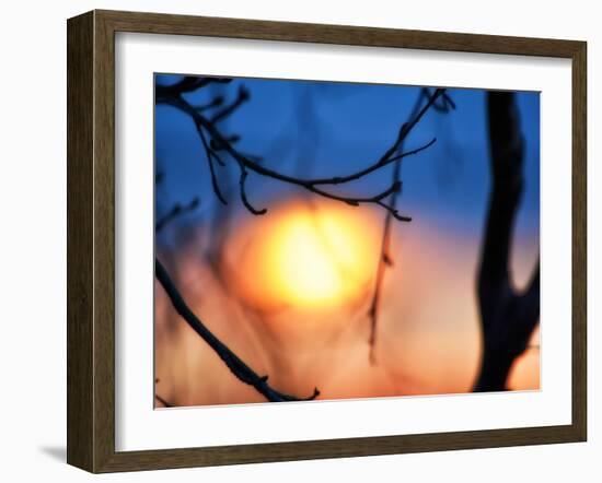 Abstract Sunset-Savanah Plank-Framed Photo