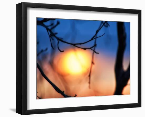 Abstract Sunset-Savanah Plank-Framed Photo