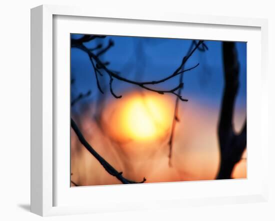 Abstract Sunset-Savanah Plank-Framed Photo