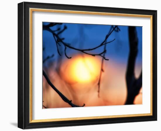 Abstract Sunset-Savanah Plank-Framed Photo