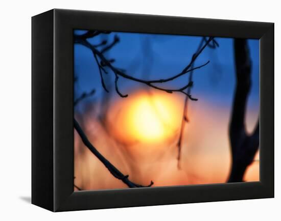 Abstract Sunset-Savanah Plank-Framed Stretched Canvas