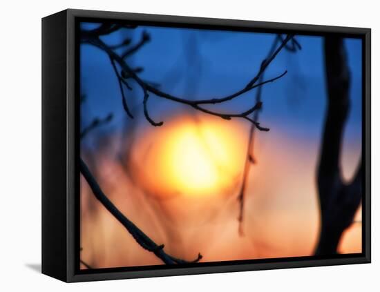 Abstract Sunset-Savanah Plank-Framed Stretched Canvas