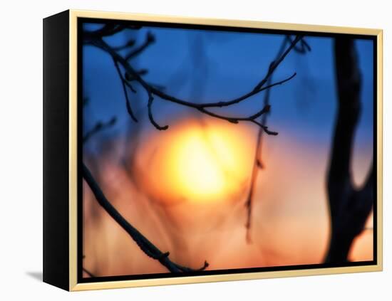 Abstract Sunset-Savanah Plank-Framed Stretched Canvas