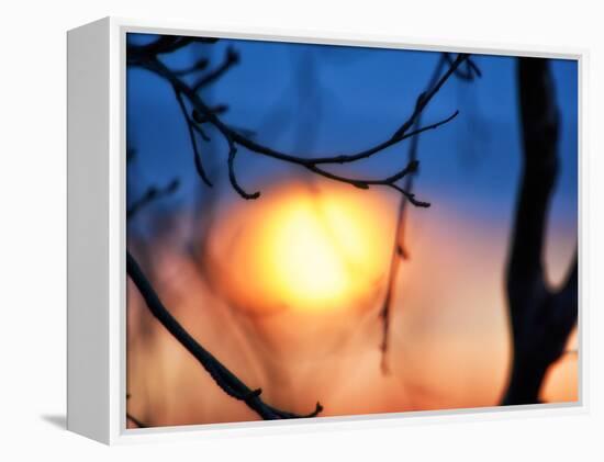 Abstract Sunset-Savanah Plank-Framed Stretched Canvas