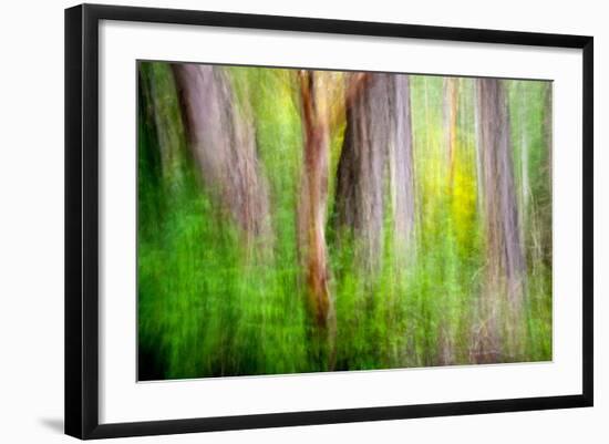 Photo, , large
