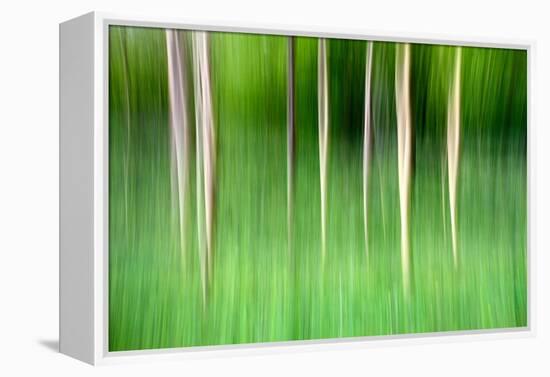 Abstract Trees-Mark Sunderland-Framed Premier Image Canvas