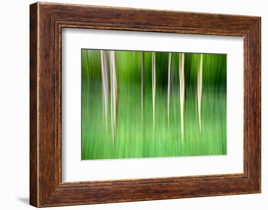 Abstract Trees-Mark Sunderland-Framed Photographic Print