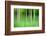 Abstract Trees-Mark Sunderland-Framed Photographic Print